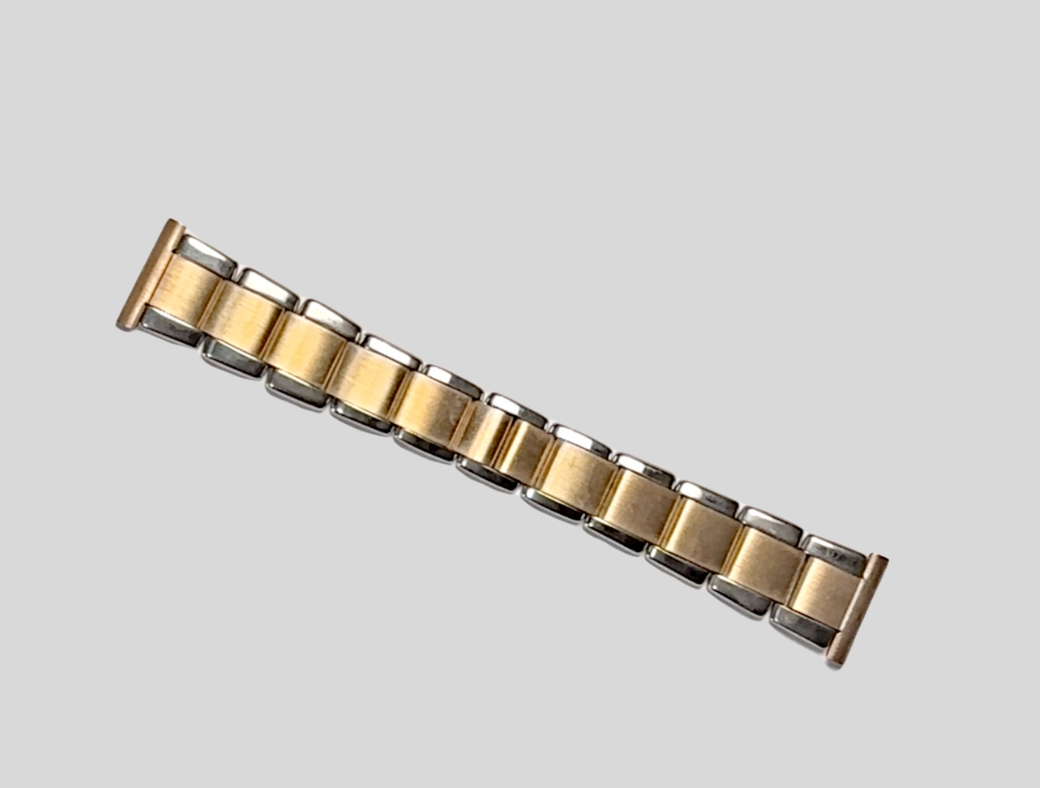 Expandro bicolor steel bracelet 22mm