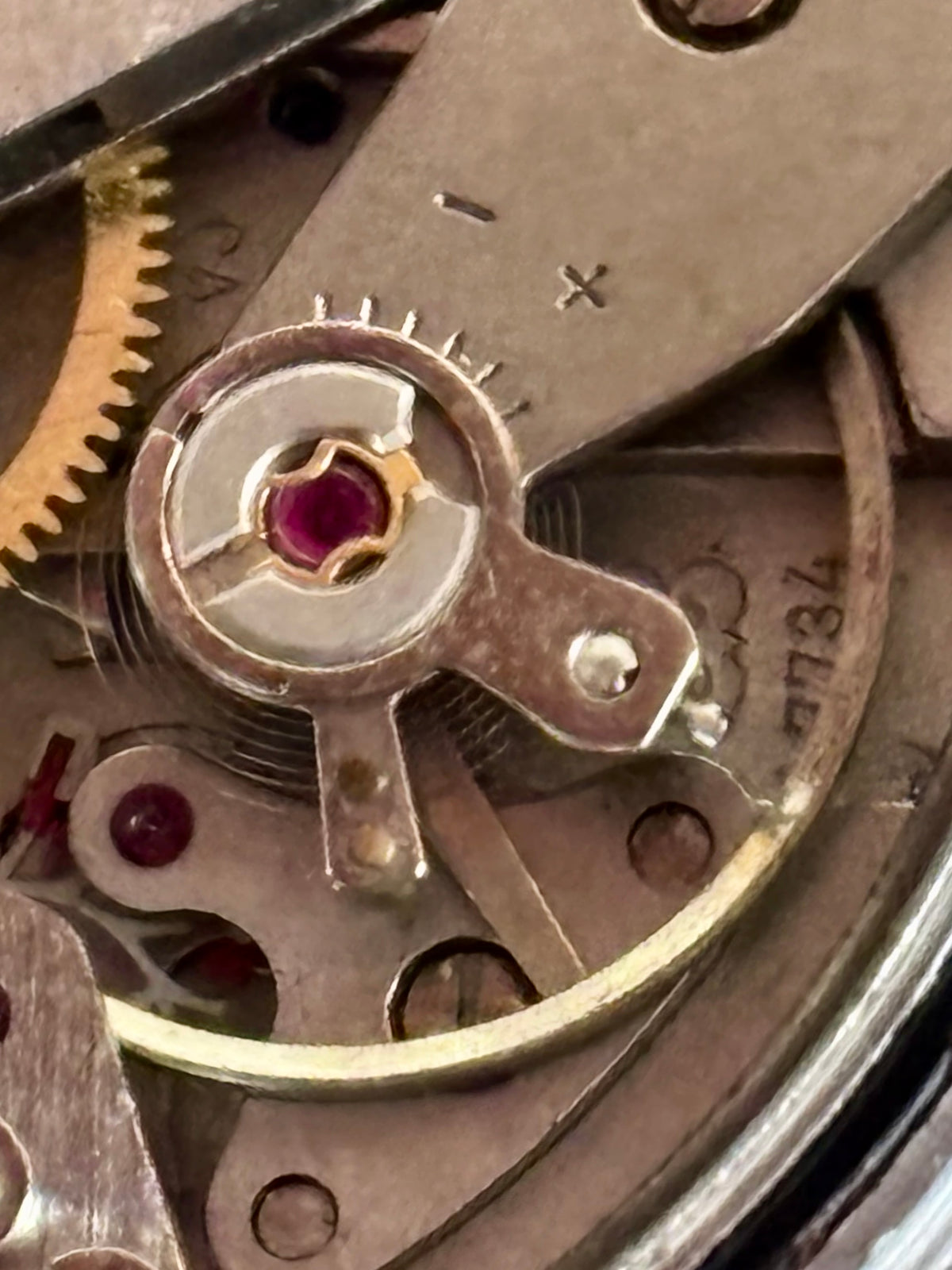 Berloc Chronograph Skin Diver